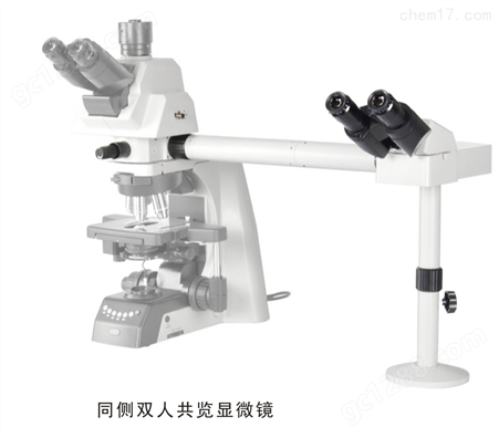 多人观察生物显微镜  BK5000