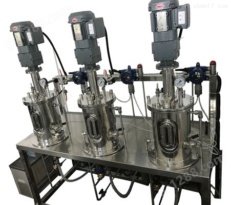 实验室厌氧发酵产沼气设备 