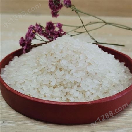 鱼台佳农米厂现货批发山东大米 圆粒珍珠米 粒大均匀