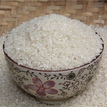 鱼台佳农米厂现货批发山东大米 圆粒珍珠米 粒大均匀