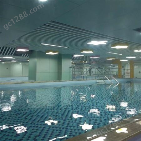 杭州佳劲室内恒温恒湿游泳池设备 泳池温泉水处理工程设计施工