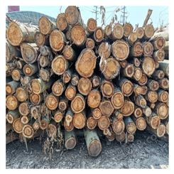 四川桉木皮子  旋皮厂供应17mm优质桉木板皮