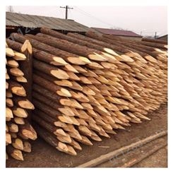杉木原木 河道桩基材料批发 杉木杆 杉木棍 河道木桩出售