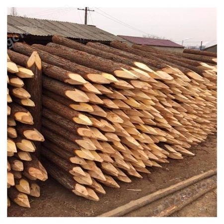 杉木原木 河道桩基材料批发 杉木杆 杉木棍 河道木桩出售