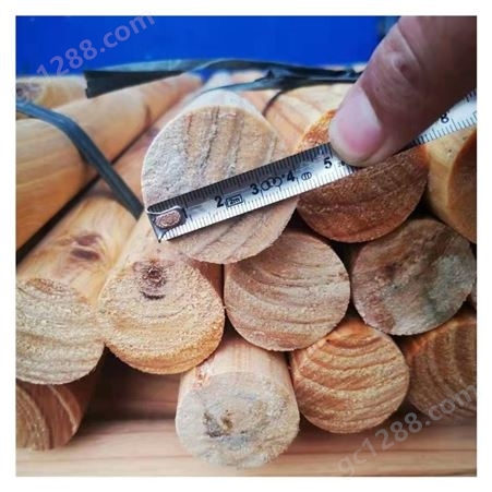 大型木材加工基地 供应优质松木杆 松木材料 树木支撑批发出售