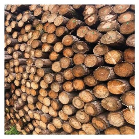贵州地区收购松木原木正材 杉木 松木材加工