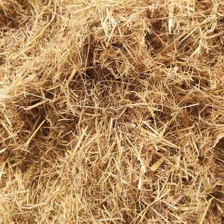 质量优良的草纤维 嵩杰草纤维 边坡护喷播绿化 现货供应