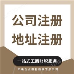 天津免费注册公司 代理记账 可申请人力资源