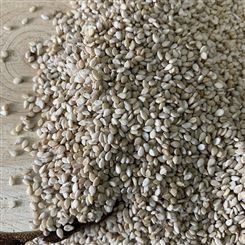 厂家批发 生白芝麻 批发市场价格散装即食打粉五谷杂粮烘焙原料25公斤袋装芝麻官