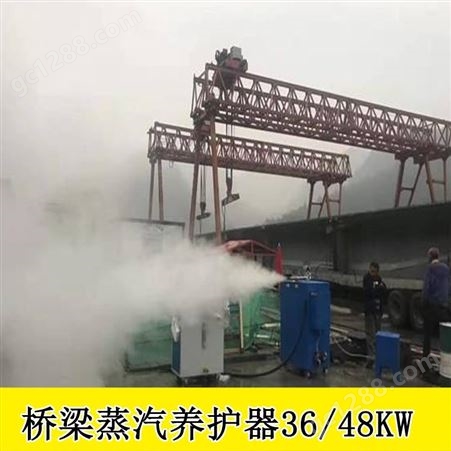 西藏阿里80公斤燃油款桥梁养护器80KG燃油桥梁养护机