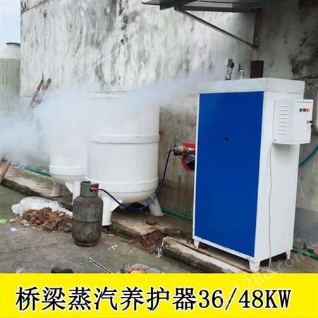 山西晋城电蒸汽锅炉80KG柴油蒸养设备