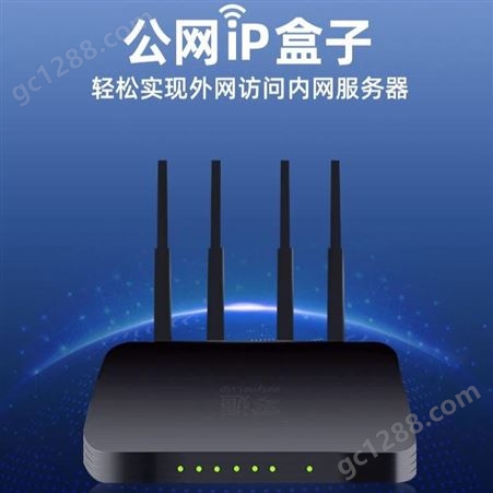 零遁Edge-P61零遁固定公网IP盒子静态IP专线商用带宽非电信专线