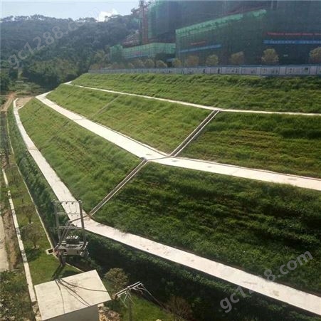 贵州TBS边坡植草防护 护坡植草工程 边坡生态绿化 矿山边坡绿化施工