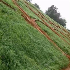 边坡绿化 客土喷播 喷播植草 矿山绿化 植被建设方案设计 恩元工程施工