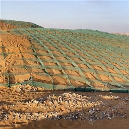 防沙网 沙漠公路两旁防沙掩埋固沙网格 墨绿色聚乙烯阻沙障