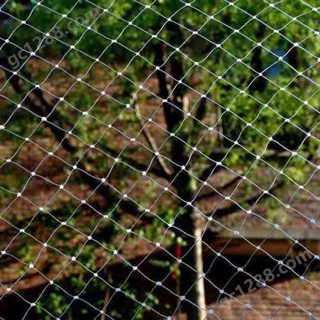 防鸟网 园林果蔬大棚植物网罩 果树防鸟防虫网 抗老化