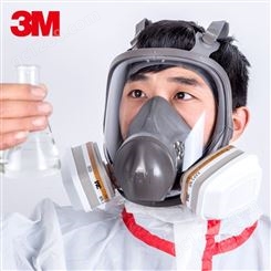 3M 6800全面具 喷漆防尘化工防有机蒸汽甲醛 全面罩防护面具
