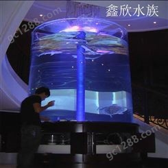 定做亚克力鱼缸-鑫欣水族-圆柱形亚克力观赏鱼缸-定做设计--酒店水族箱-生态海水鱼鱼缸-办公室水族箱-大型缸