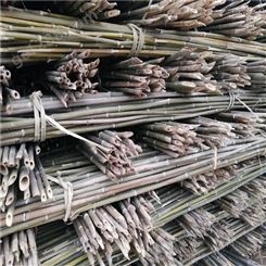 白竹批发 3米4米5米白竹杆 农用竹杆 江西白竹 京西竹业