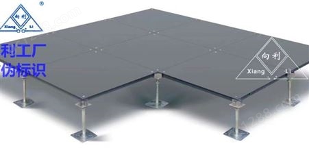 向利全钢OA网络防静电架空地板写字楼专用地板600*600500*500mm