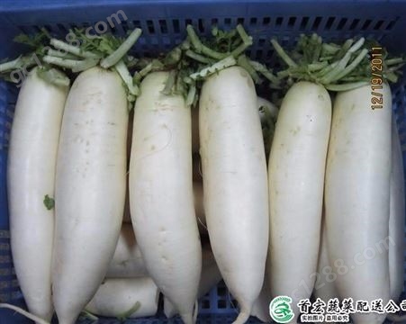 生鲜蔬菜配送_城市农产品配送_首宏蔬菜配送公司