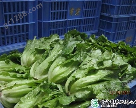 生鲜蔬菜配送_城市农产品配送_首宏蔬菜配送公司