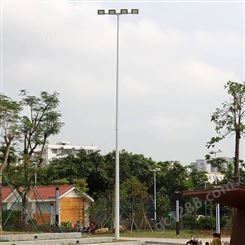 郴州市足球场灯杆 12米灯杆（标准型） 热镀锌防腐蚀