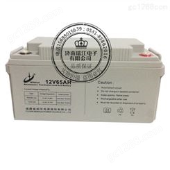 闽华12V65AH免维护铅蓄电池UPS电源EPS备用电源型不断电系统电瓶