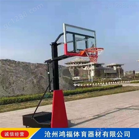 中小学篮球架 移动升降儿童篮球架 鸿福 儿童可移动篮球架 价格合理