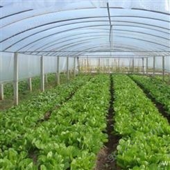 温室蔬菜大棚种植大棚厂家上门安装加工定制